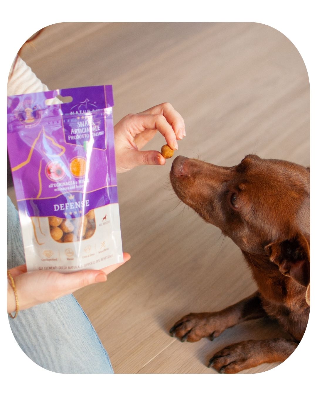 Dog Snacks